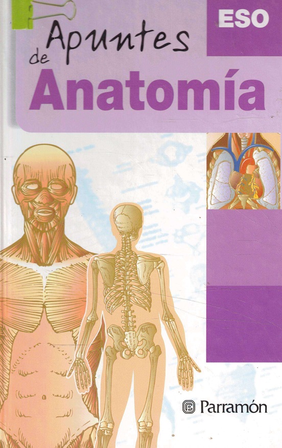 Apuntes De Anatomía