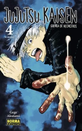 Jujutsu Kaisen 4 - Akutami, Gege