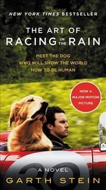 The Art Of Racing In The Rain - Garth Stein