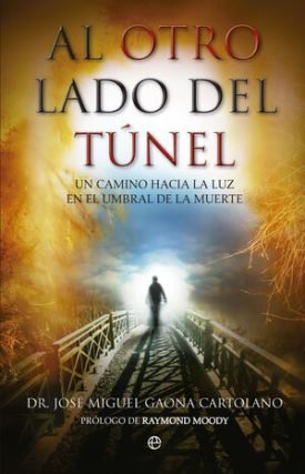 Al Otro Lado Del Túnel - Gaona, José Miguel