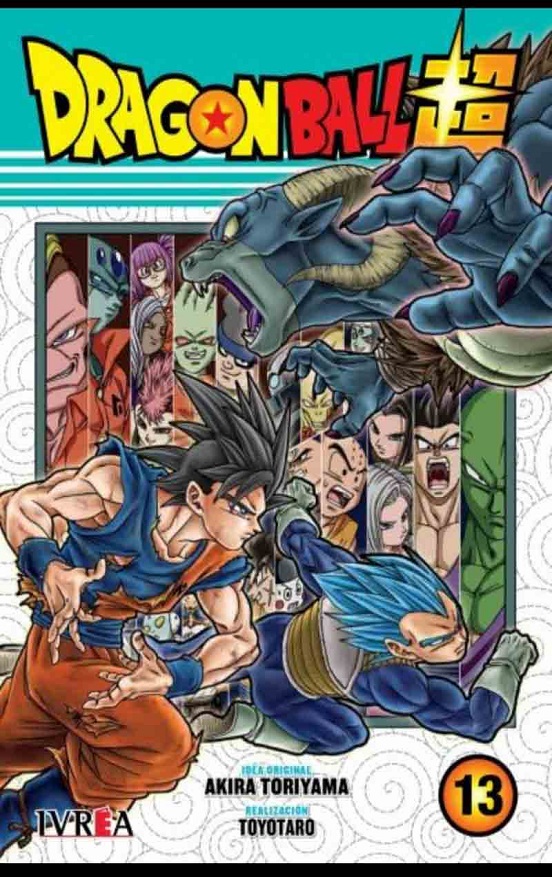 Dragon Ball Super Vol. 13