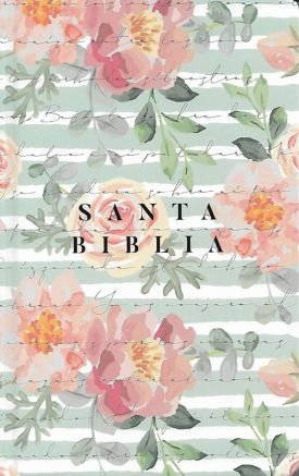 Biblia Reina Valera 1960 Letra Grande, Tamaño Manual - Reina Valera Revisada 1960