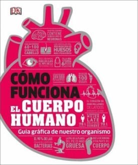 Como Funciona El Cuerpo Humano -