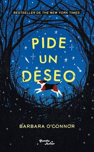 Pide Un Deseo