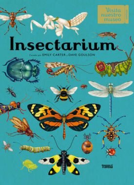 Insectarium - Dave Goulson