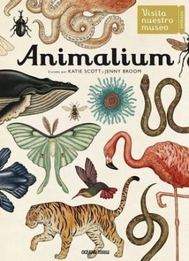 Animalium - Broom, Jenny