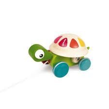 Tortuga Para Pasear