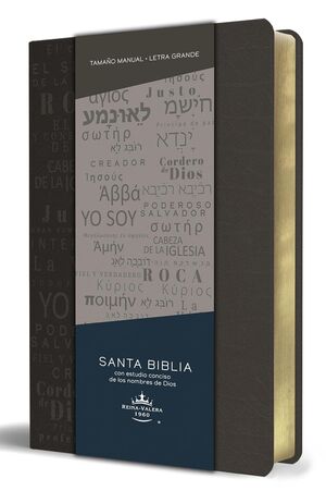 Biblia Rvr 1960 Letra Grande Tamaño Manual, Simil Piel Gris con Nombres de Dios Texto Grande